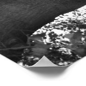 静けさのポスター ポスター (角)