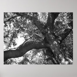 静けさのポスター ポスター