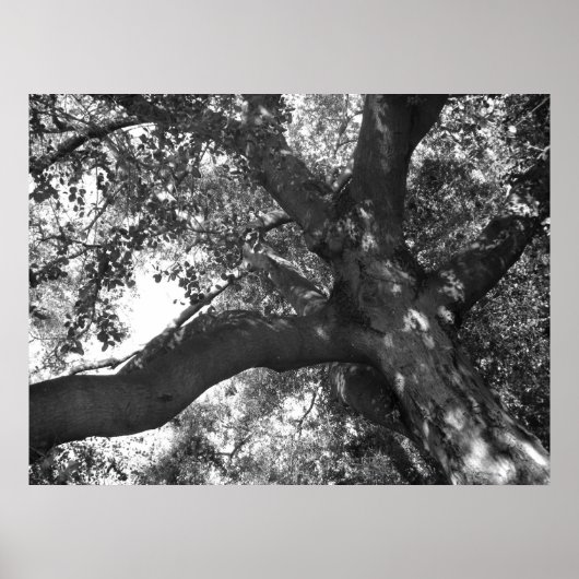 静けさのポスター ポスター (正面)