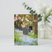 静けさ、美しい教会の墓地。ホピス・イギリス ポストカード (スタンド正面)