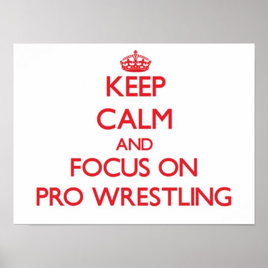 静保かプロレスリングに集中 ポスター (正面)