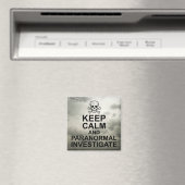 静保か超常的な調査 マグネット (インサイチュ (食洗機))