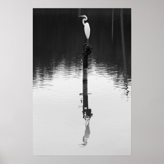 静反射 ポスター (正面)