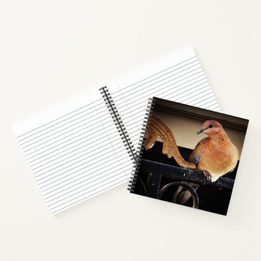 静寂 ノートブック (内部)