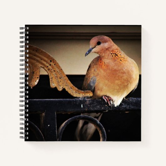 静寂 ノートブック (正面)