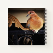 静寂 ノートブック (裏面)