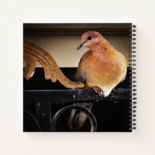 静寂 ノートブック (裏面)