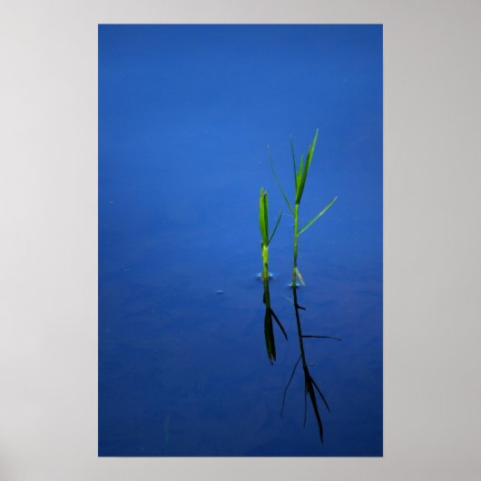 静寂 ポスター (正面)