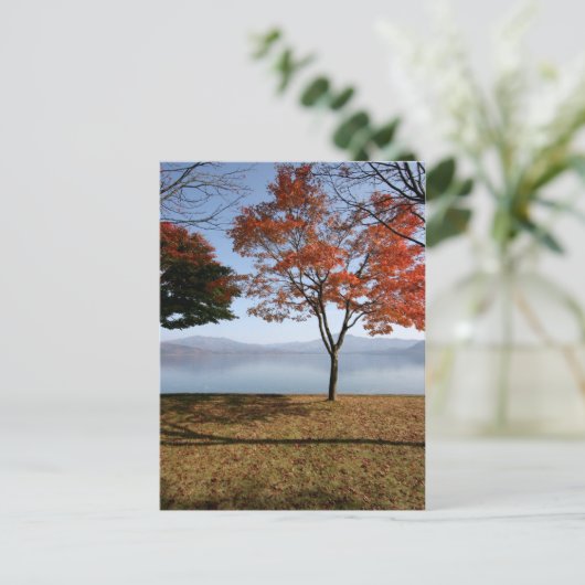 静寂 ポストカード (スタンド正面)