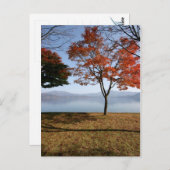 静寂 ポストカード (正面/裏面)