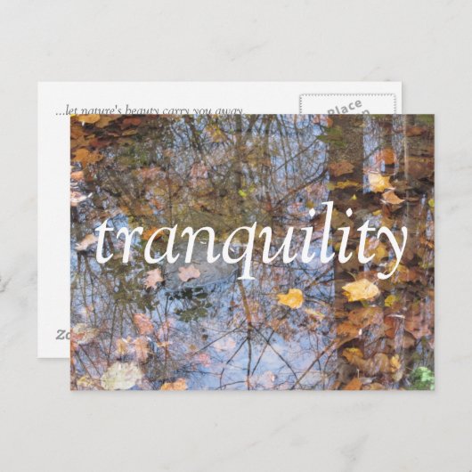 静寂 ポストカード (正面/裏面)