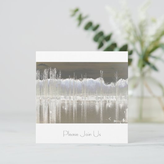 静寂 招待状 (スタンド正面)