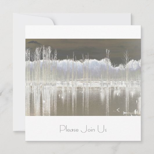 静寂 招待状 (正面)