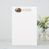 静止したオランダLOPの耳付つきのウサギ 便箋 (スタンド正面)