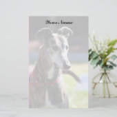 静止したグレイハウンド 便箋 (スタンド正面)