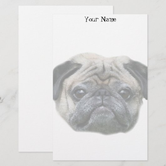 静止したパグ犬 便箋 (正面/裏面)