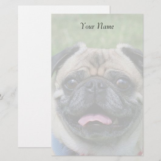 静止したパグ犬 便箋 (正面/裏面)