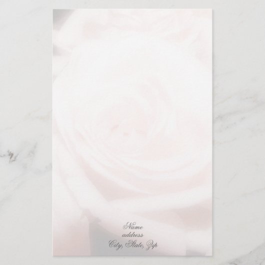 静止したピンクのバラ 便箋 (正面)
