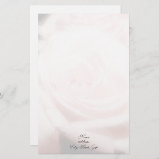 静止したピンクのバラ 便箋 (正面/裏面)