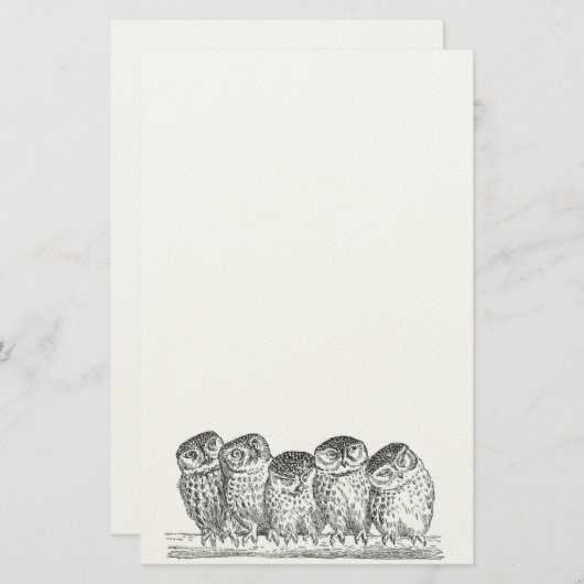 静止したヴィンテージのフクロウ 便箋 (正面/裏面)