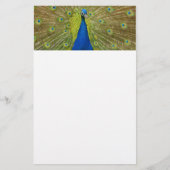 静止した孔雀 便箋 (正面)