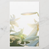 静止した朝の喜び 便箋 (正面)