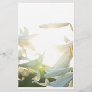 静止した朝の喜び 便箋