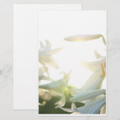 静止した朝の喜び 便箋 (正面/裏面)