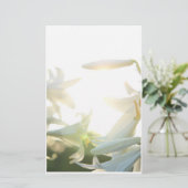 静止した朝の喜び 便箋 (スタンド正面)