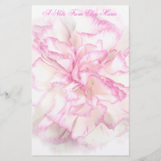 静止した柔らかいカーネーション 便箋 (正面)