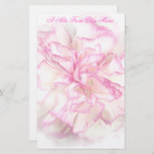 静止した柔らかいカーネーション 便箋 (正面/裏面)