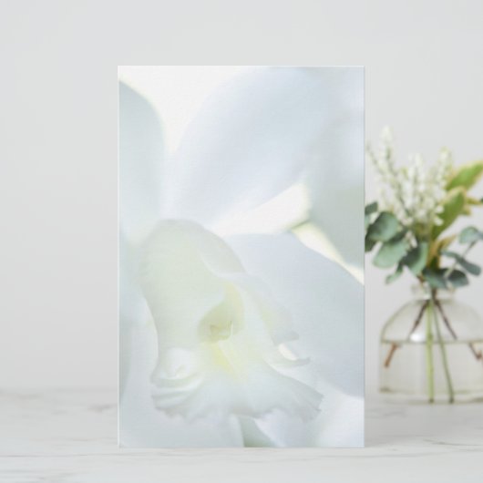 静止した蘭 便箋 (スタンド正面)