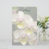 静止した蘭 便箋 (スタンド正面)