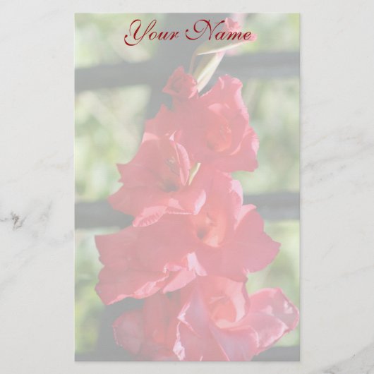 静止した赤いGladiola 便箋 (正面)