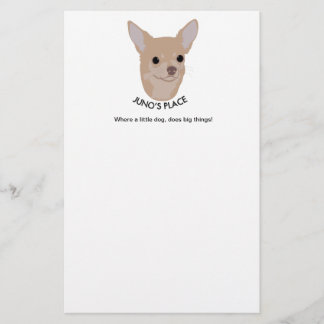 静止したJunoの場所 便箋