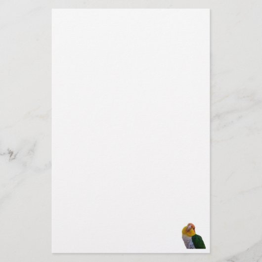 静止したWBのシロハラインコ 便箋 (正面)
