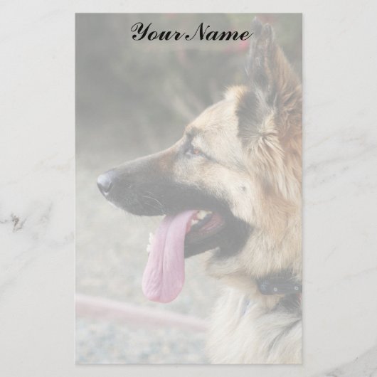 静止しているジャーマン・シェパード 便箋 (正面)