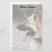 静止しているジャーマン・シェパード 便箋 (正面/裏面)