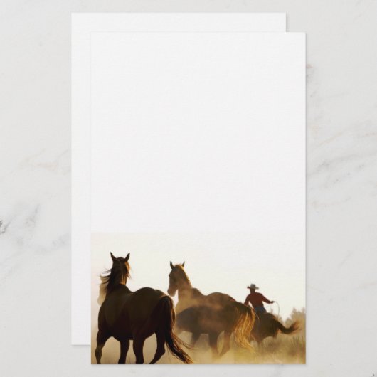 静止しているロープをかけるカウボーイ 便箋 (正面/裏面)