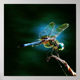 静止している間に速く動く ポスター