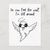 静止のまわりに ポストカード (正面)