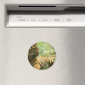 静止タイガー磁石 マグネット (インサイチュ (食洗機))