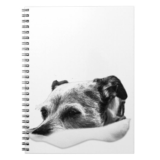 静止ページ ノートブック (正面)