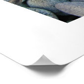 静止得歯 ポスター (角)