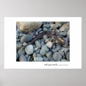 静止得歯 ポスター (正面)