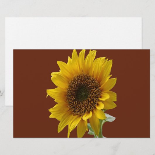 静止紙ひまわり 便箋 (正面/裏面)