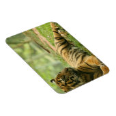 静止虎フレキシブルマグネット マグネット (右側)