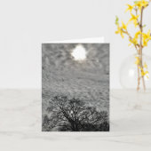 静止、すべての行事、アメージングスカイ カード (黄色い花)