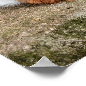 静止 ポスター (角)