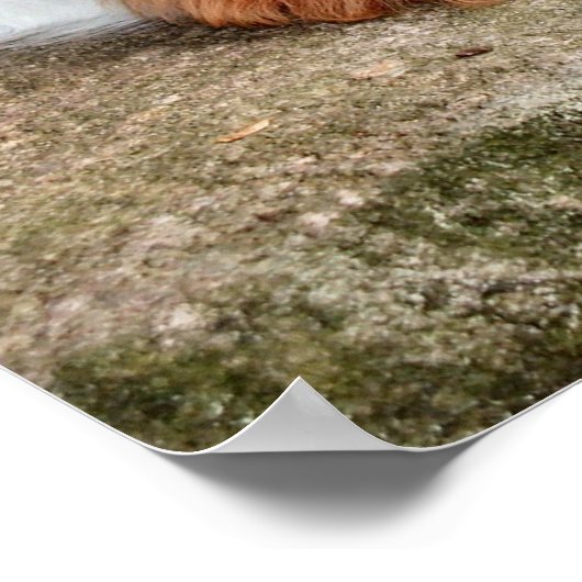 静止 ポスター (角)